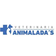 Cliente de MCN Service