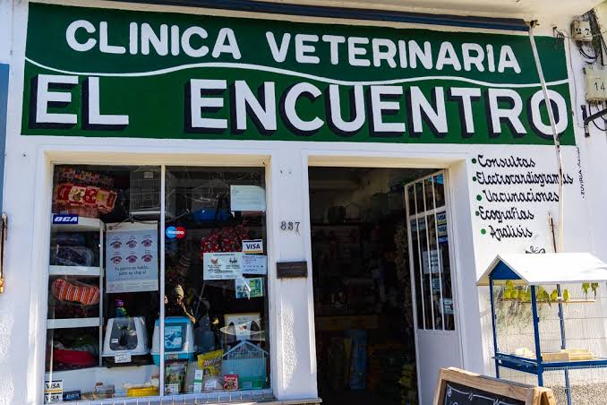Cliente de MCN Service